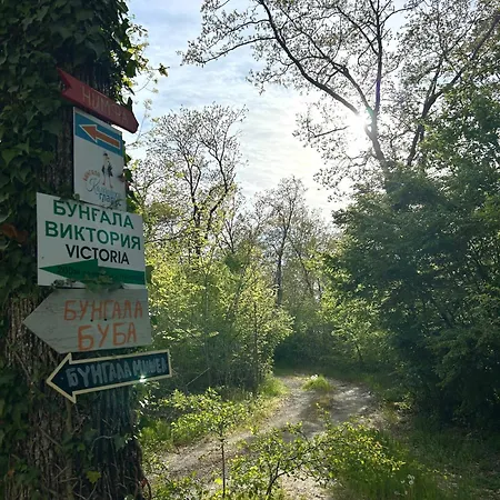 Campsite мишел